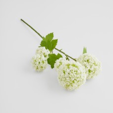 Floare Serosa cu motiv vegetal