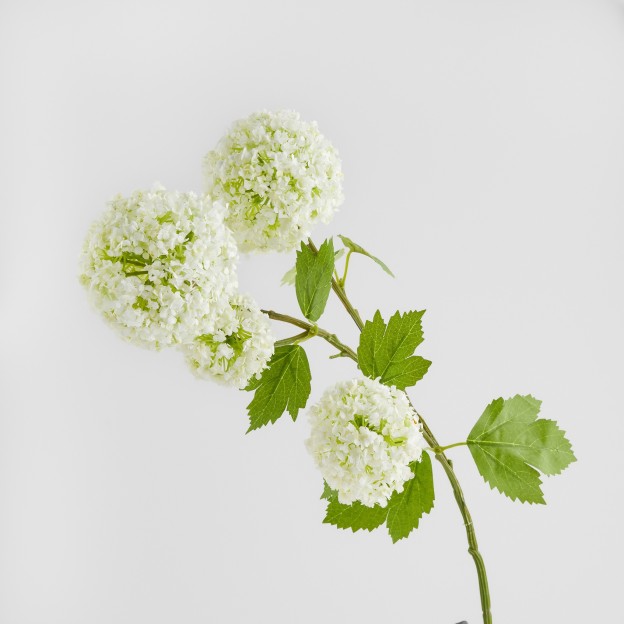 Crenguta decorativa SEROSA