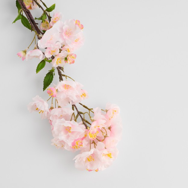 Ветка декоративная CEREZO