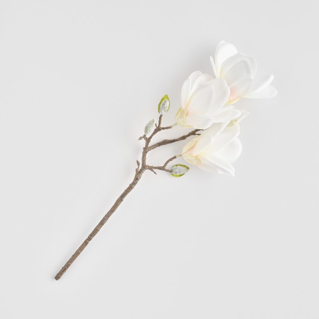 Crenguta decorativa MAGNOSI