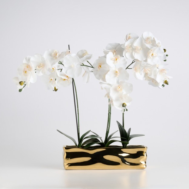 Compozitie florala ORCHIANUM BIG