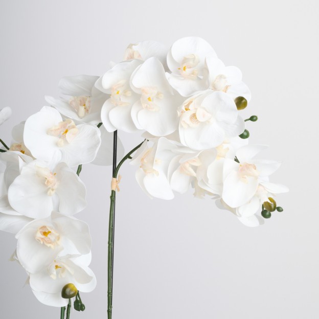 Compozitie florala ORCHIANUM BIG