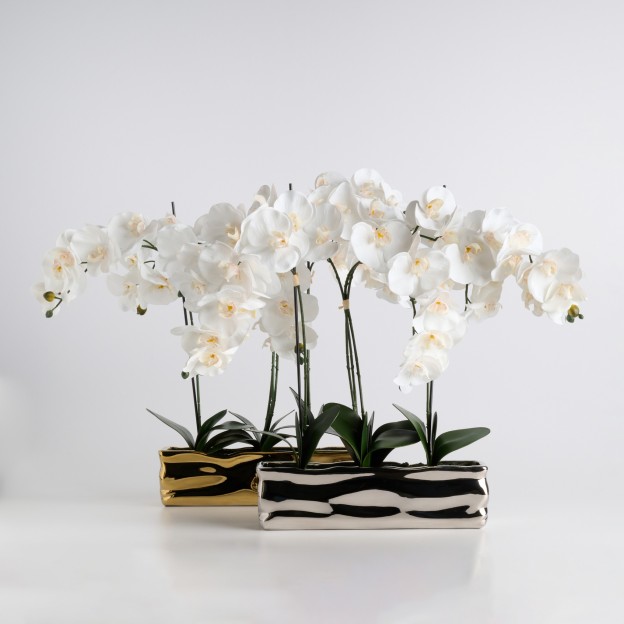 Compozitie florala ORCHIANUM BIG