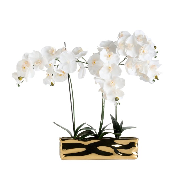 Compozitie florala ORCHIANUM BIG