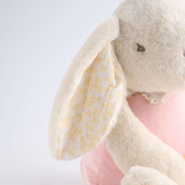 Jucarie de plus EMIS