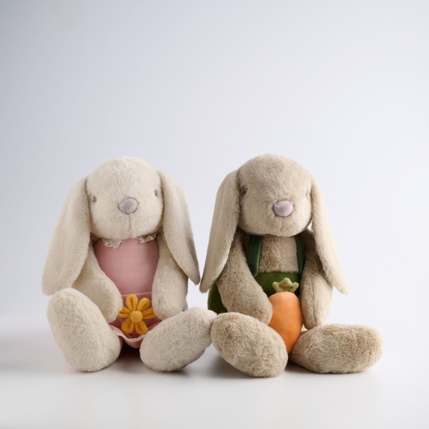 Jucarie de plus EMIS