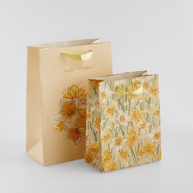 Punga cadou DAFFELIS