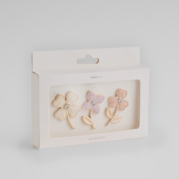 Set magneți FLOWERIS
