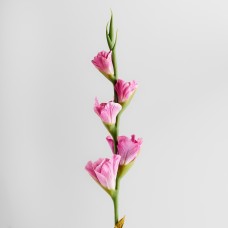 Floarea Vonesi