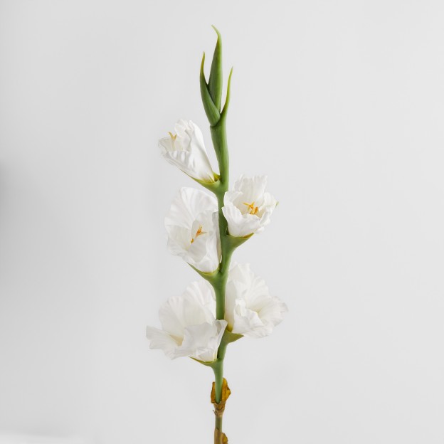 Crenguta decorativa VONESI