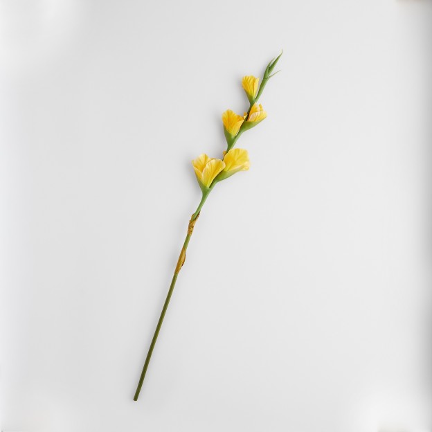 Crenguta decorativa VONESI