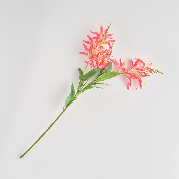 Crenguta decorativa LAVERNA