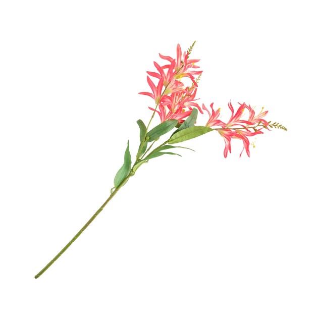 Crenguta decorativa LAVERNA