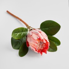Floare Rovis cu motiv vegetal