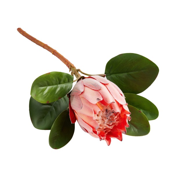 Crenguta decorativa ROVIS