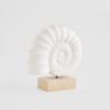 Figurina decorativa AMONITA