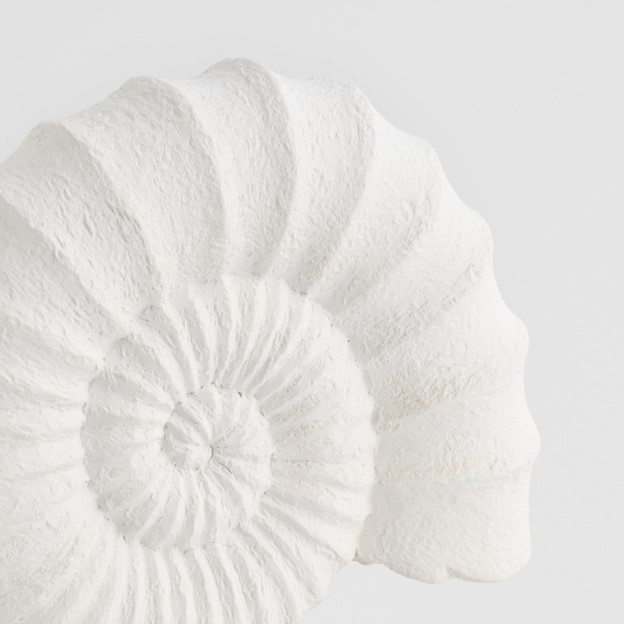 Figurina decorativa AMONITA