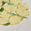 Napron LIMEA