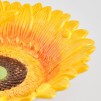 Bol decorativ GIRASOL