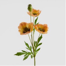 Floare Articali
