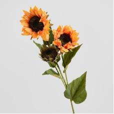 Buchet Sunfloweris Buchet Sunfloweris