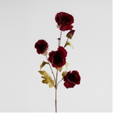 Buchet Redrosa Buchet Redrosa