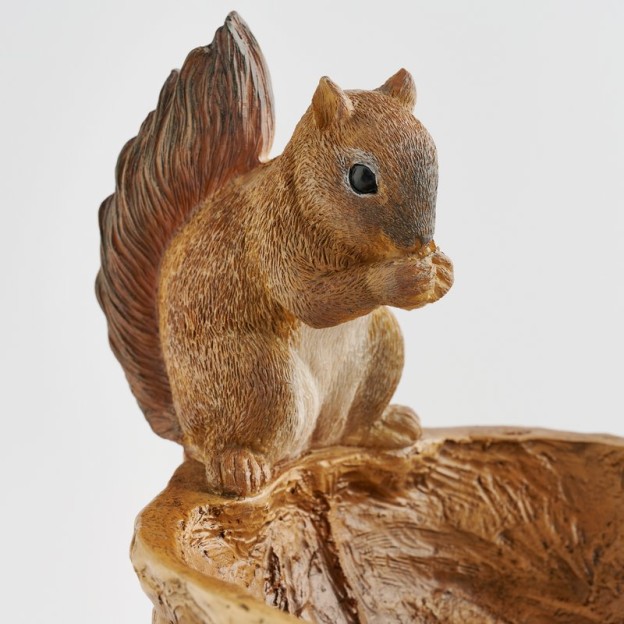 Decorațiune SQUIRELI