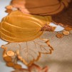 Fata de masa PUMPKIN LATTE