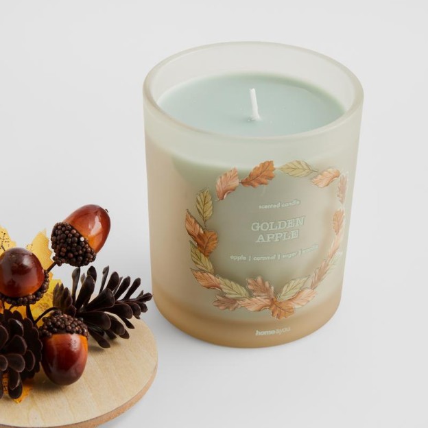 Luminare aromatizata HEDGINS