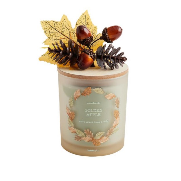 Luminare aromatizata HEDGINS