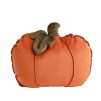 Perna decorativa PUMPINICA