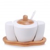 Set zaharnita cu accesorii CLASSIC