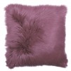 Perna decor PUMICE