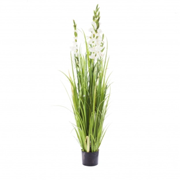 Compozitie de flori LED GLADIOLA DIAMOND