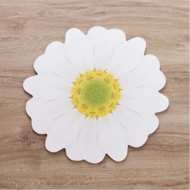 Napron de masa GERBERA