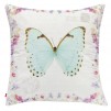 Perna decor STAMPFLY