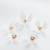 Set autocolante acrilice FLORELLO