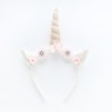 Accesoriu par UNICAT