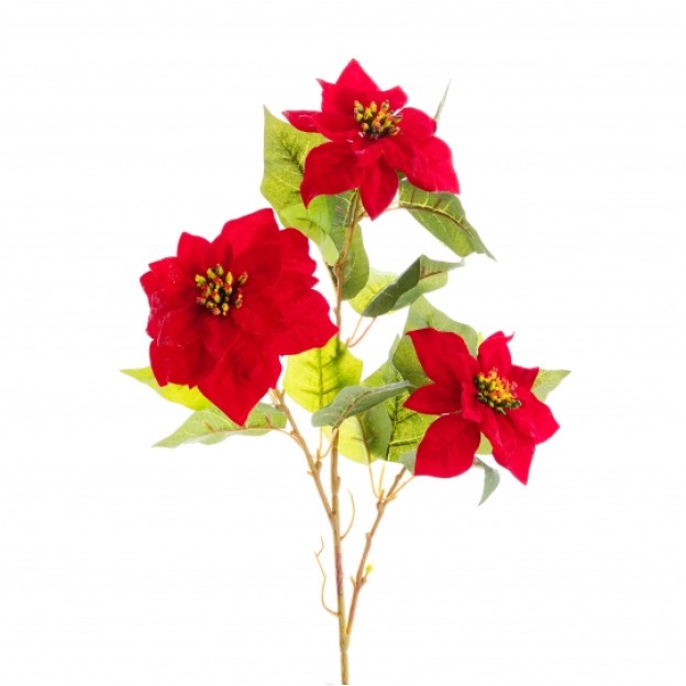 Floare decorativa BETLEHEM