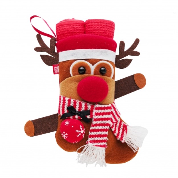 Set stergare bucatarie REINDERLY SOCK