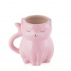 Cana PINK KITTY