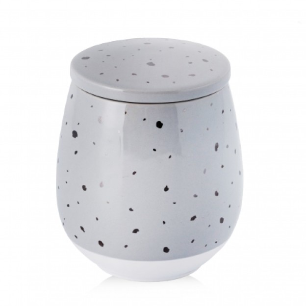 Container cu capac SPACY