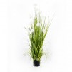 Compozitie de flori DANDELION POT