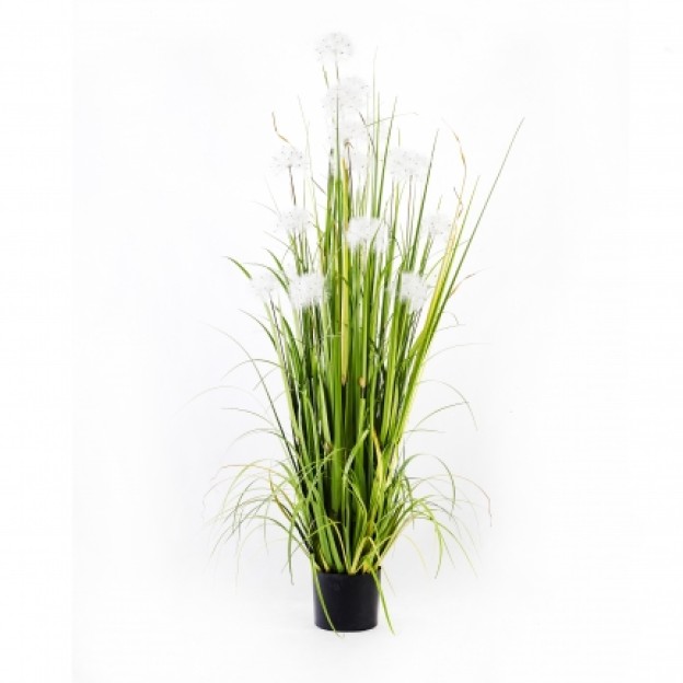 Compozitie de flori DANDELION POT