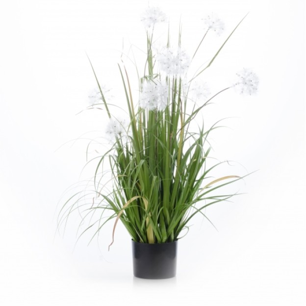 Compozitie de flori DANDELION POT