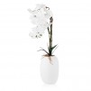 Ghiveci de flori ORCHIDIO BIG