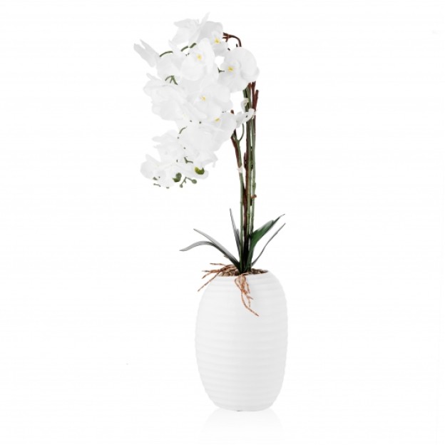 Ghiveci de flori ORCHIDIO BIG