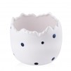 Ghiveci de flori EASTERDOTS