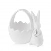 Bol  FROZEN RABBIT