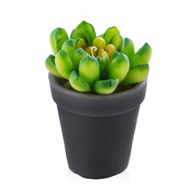 Luminare  LOLA